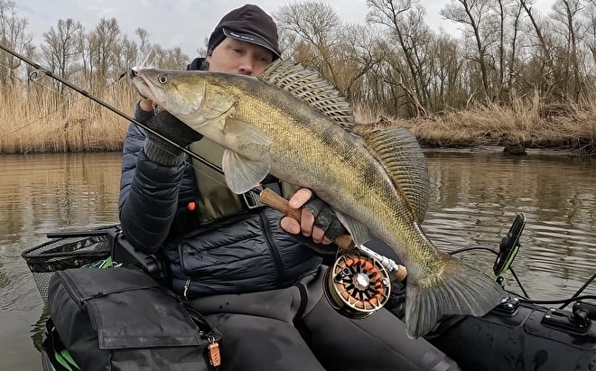 Pikeperch Peter Elberse Fly Fishing For Pikeperch   2022 Pikeperch Peter 